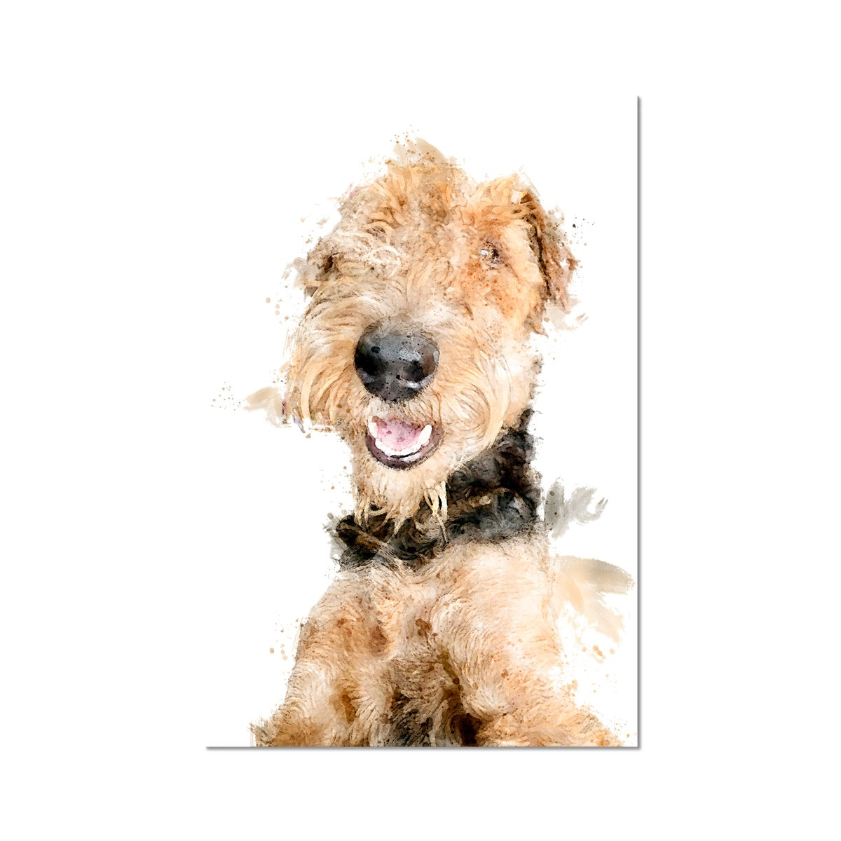 Airedale Terrier Hahnemühle German Etching Print