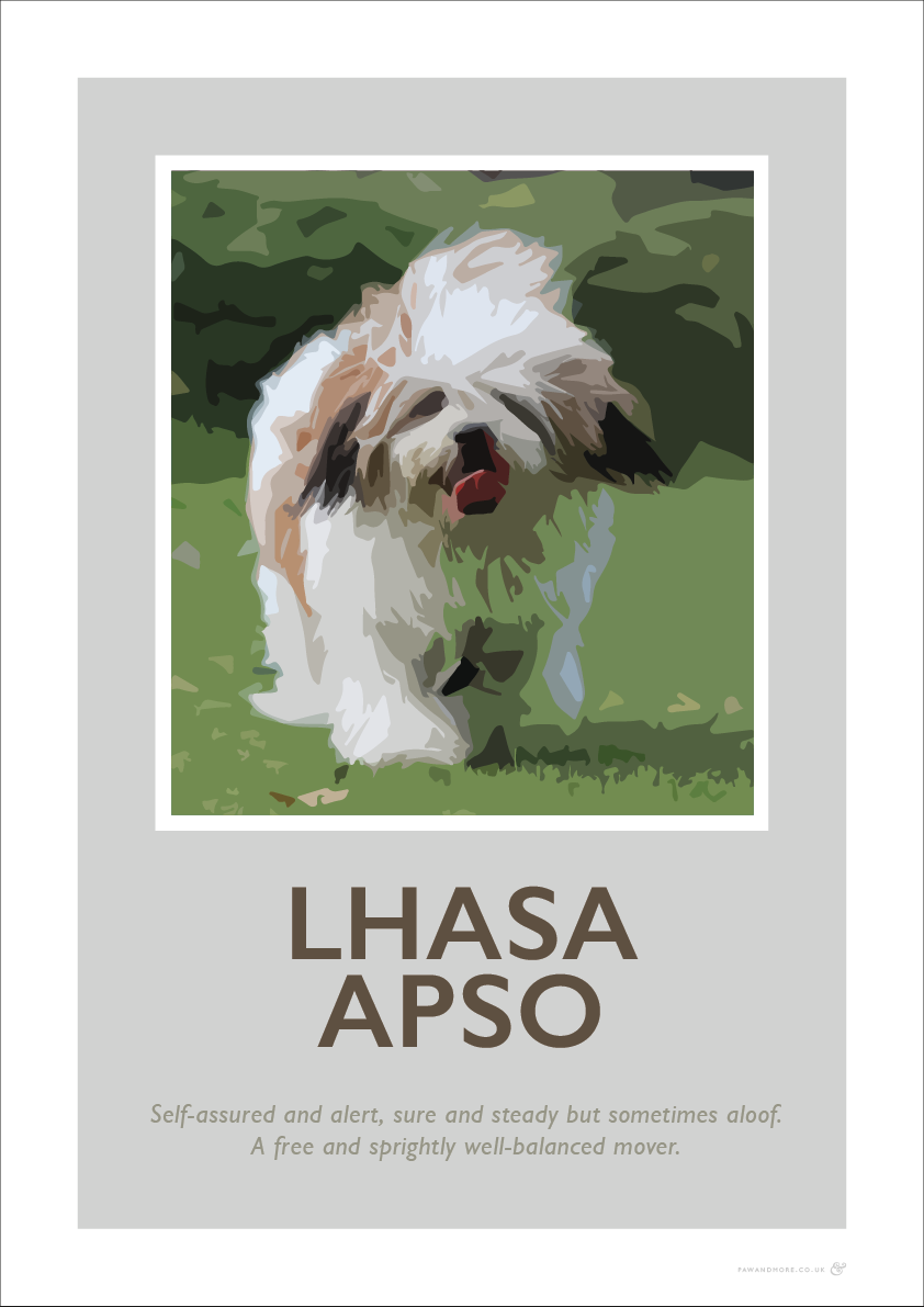 Lhasa best sale apso art