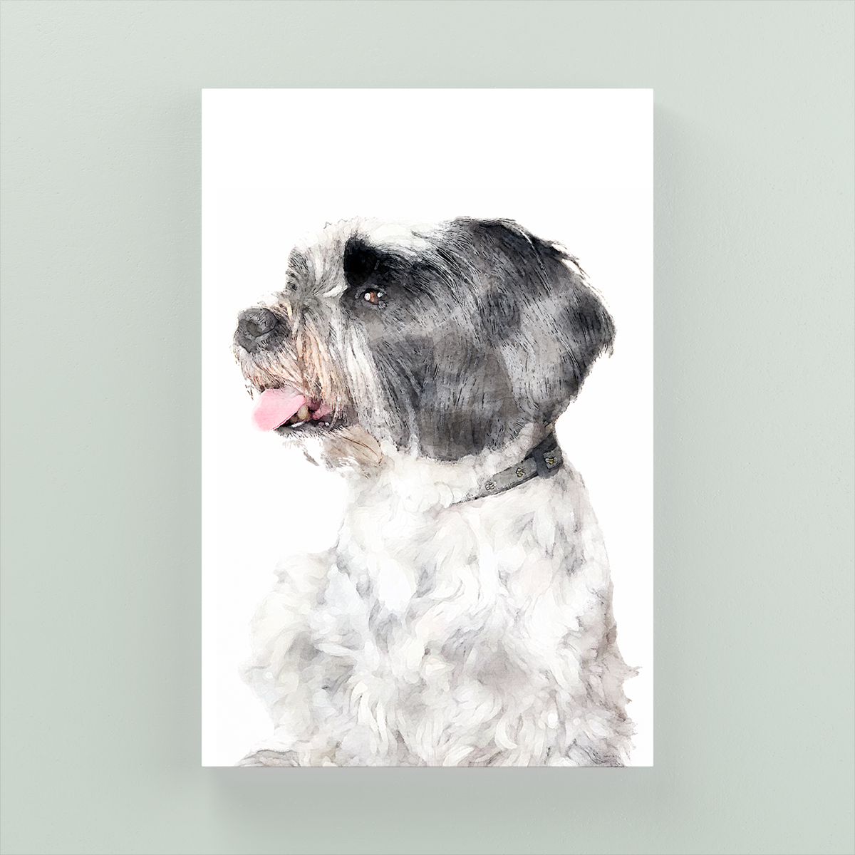 Lhasa Apso Canvas