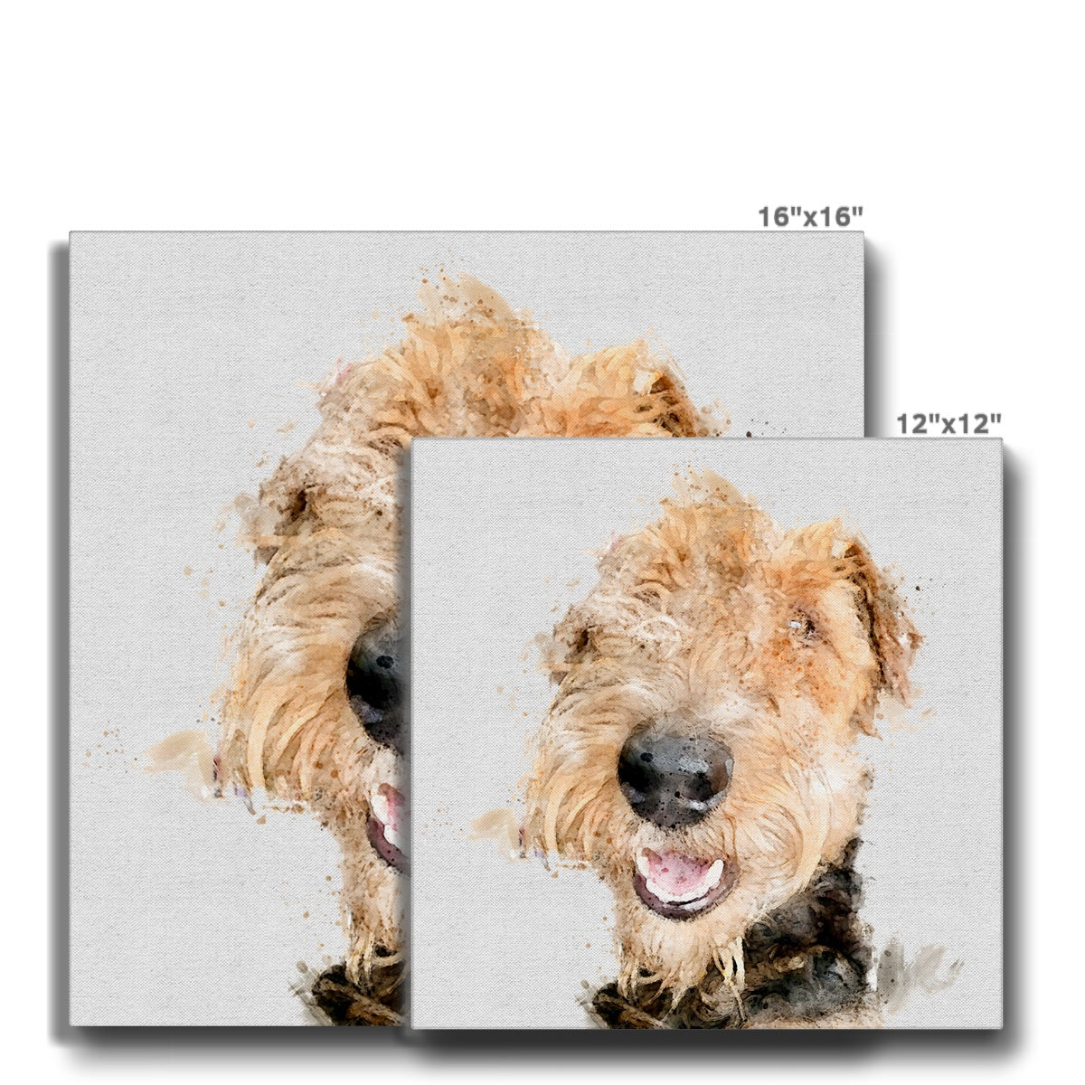 Airedale Terrier Canvas