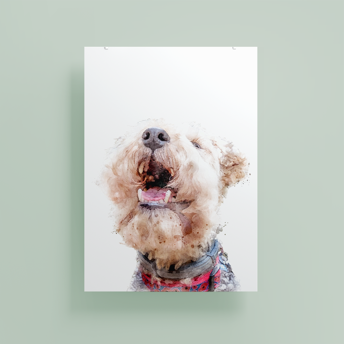 Lakeland Terrier Fine Art Print