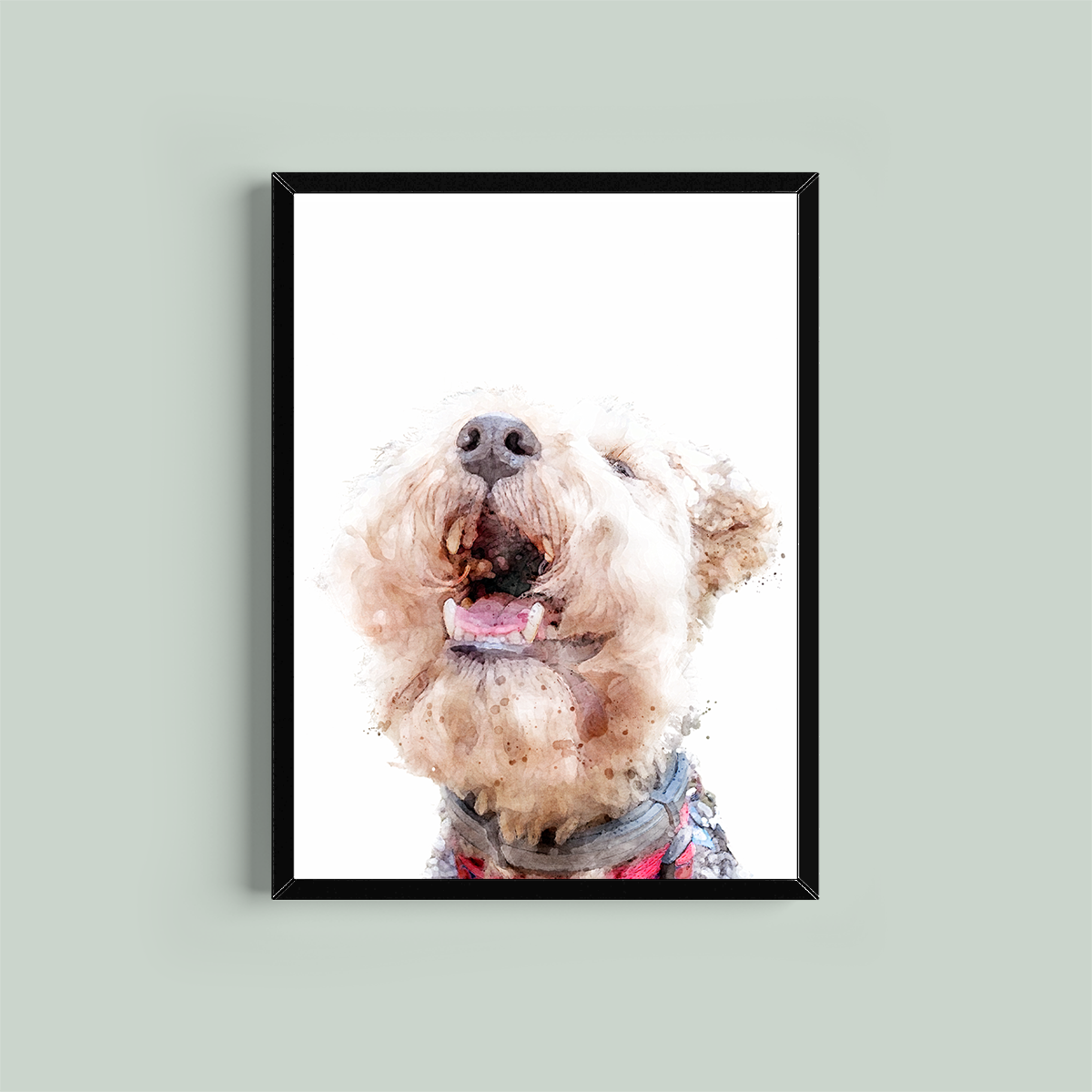Lakeland Terrier Framed Print