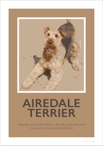 Airedale Terrier Fine Art Print