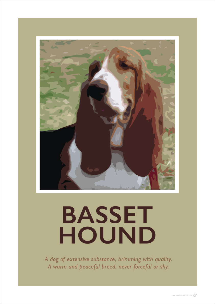 Basset Hound Fine Art Print