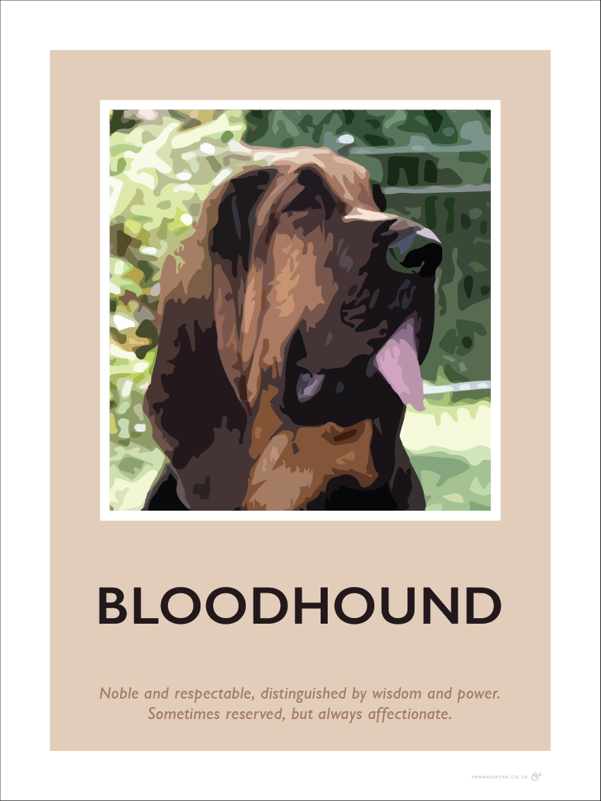 Bloodhound Fine Art Print