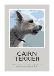 Cairn Terrier Fine Art Print