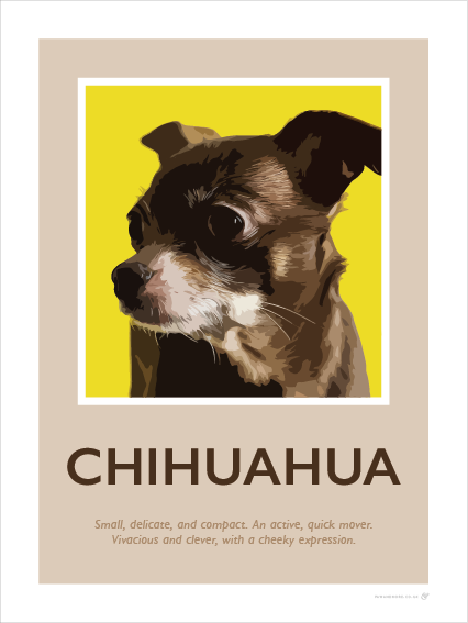 Chihuahua Fine Art Print