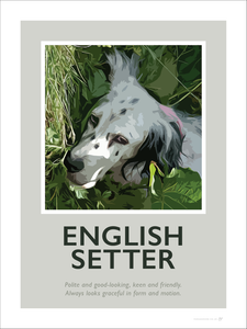 English Setter Fine Art Print