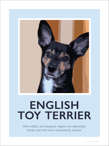 English Toy Terrier Fine Art Print