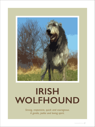Irish Wolfhound Fine Art Print