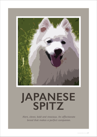 Japanese Spitz Fine Art Print