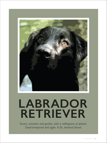 Labrador Retriever (Black) Fine Art Print
