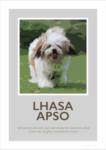 Lhasa Apso Fine Art Print