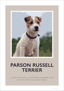 Parson Russell Terrier Fine Art Print