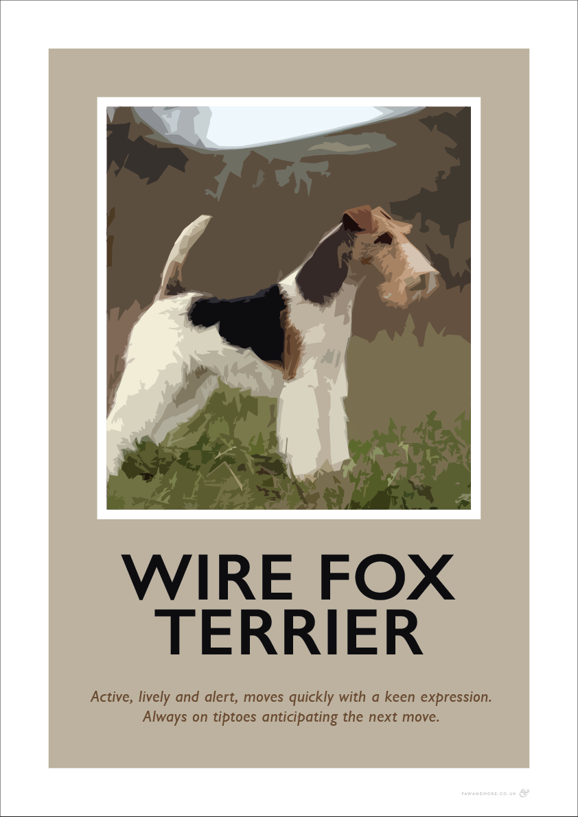 Wire Fox Terrier Fine Art Print