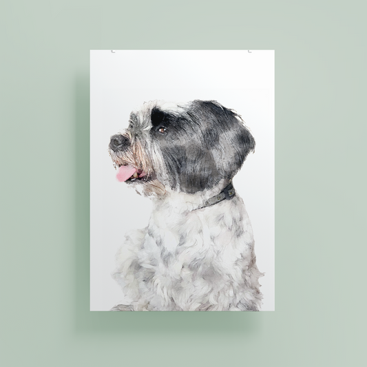 Lhasa Apso Fine Art Print