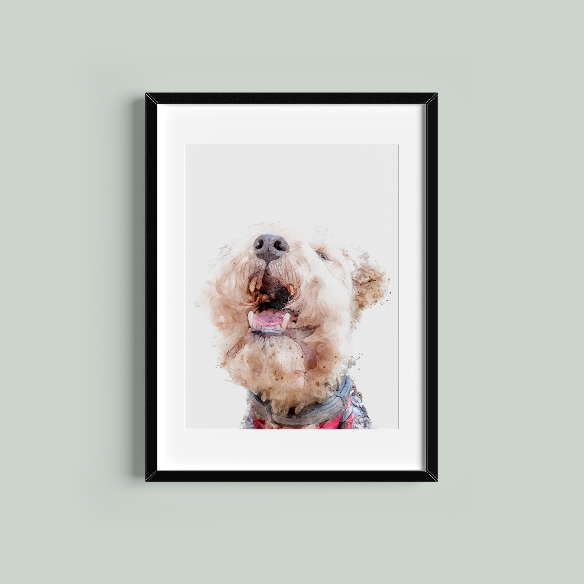 Lakeland Terrier Framed Print