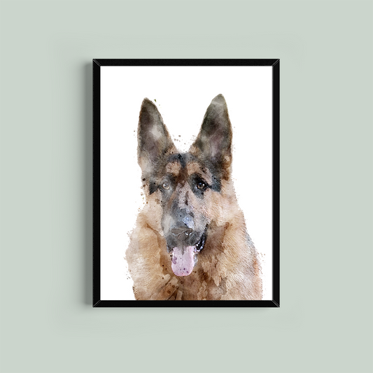 German Shepherd Framed Print