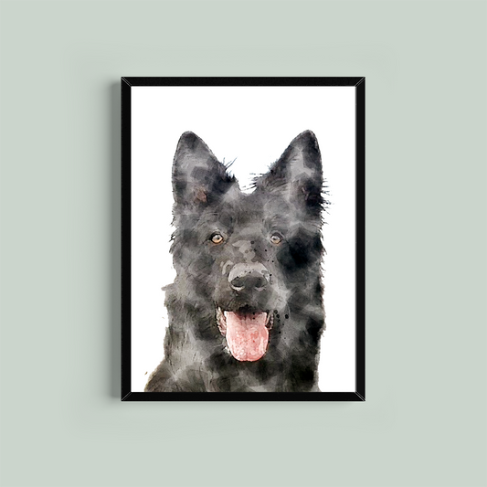 German Shepherd (Black) Framed Print