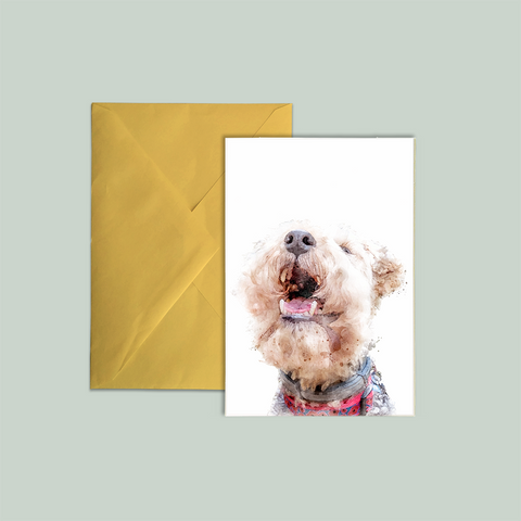 Lakeland Terrier Greeting Cards