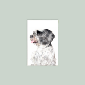 Lhasa Apso Notecards