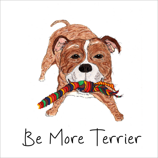 'Playing tug' Staffie Greeting Cards (Set of 10)