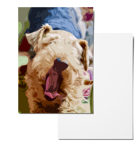 Yawning Welsh Terrier 6 x 4 Notecards